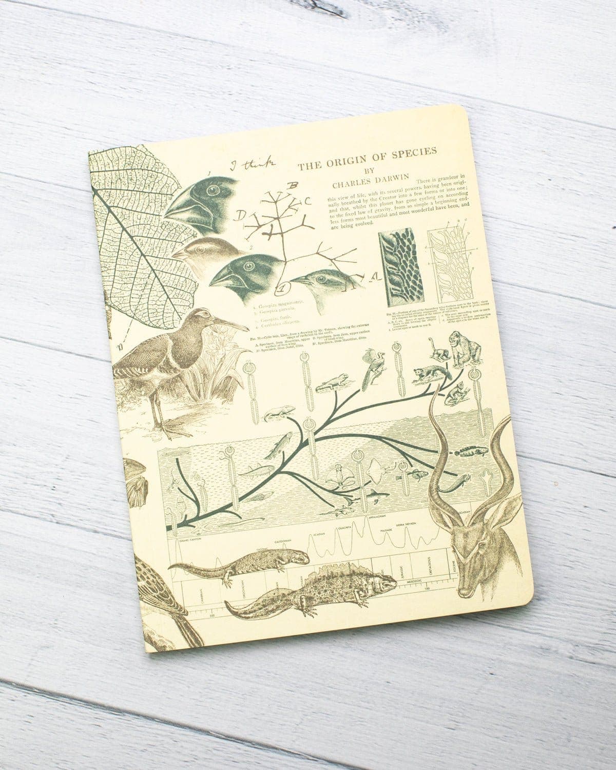 Evolution Softcover Notebook - Lined - Image 6