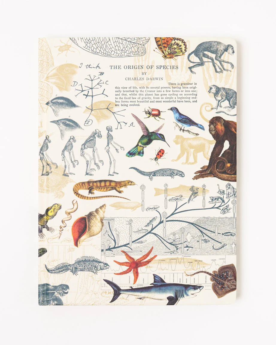 Evolution Hardcover Notebook - Dot Grid
