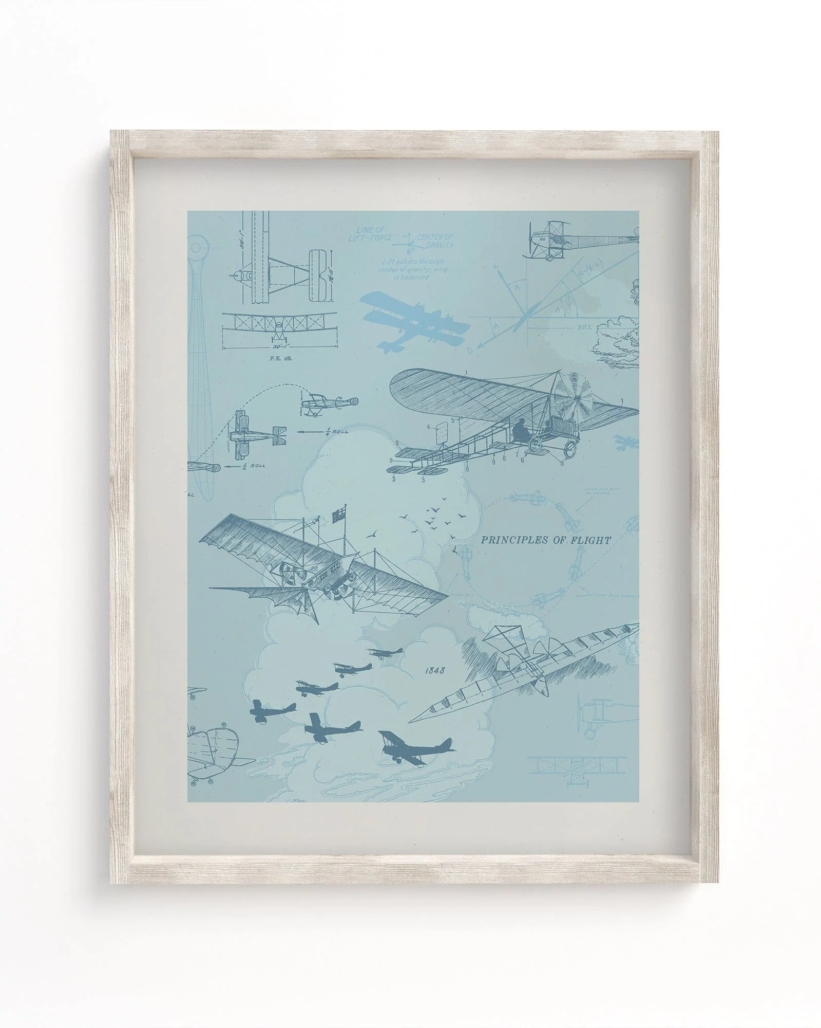 Flight Scientific Illustration Museum Print