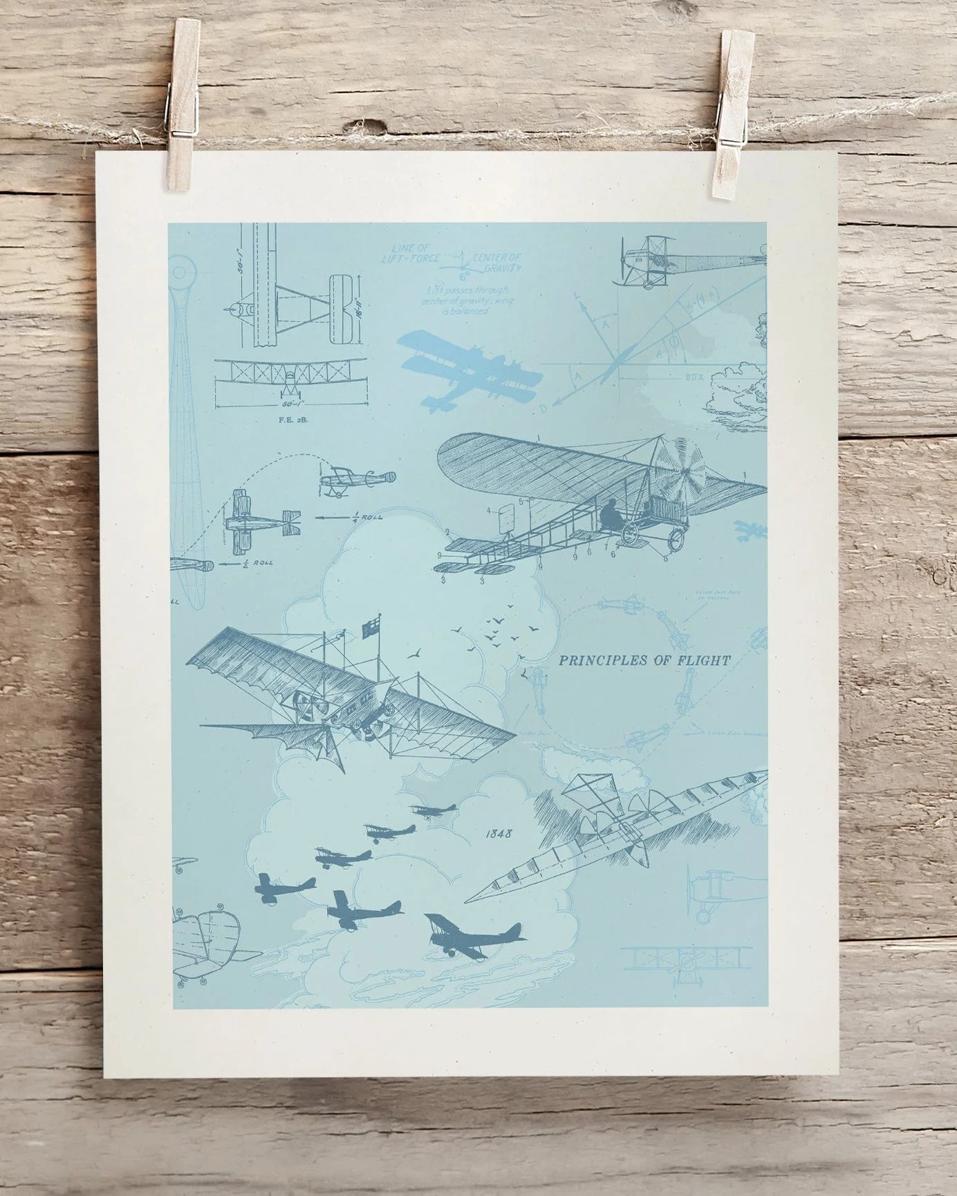 Flight Scientific Illustration Museum Print - Image 2
