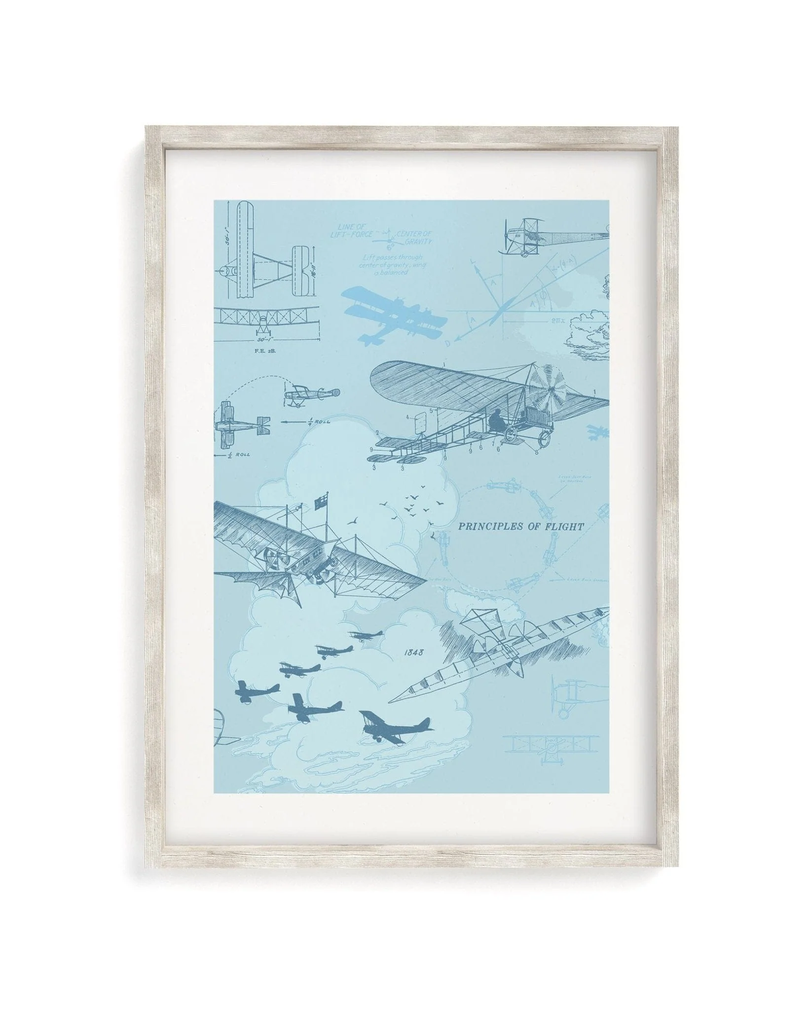 Flight Scientific Illustration Museum Print - Image 4