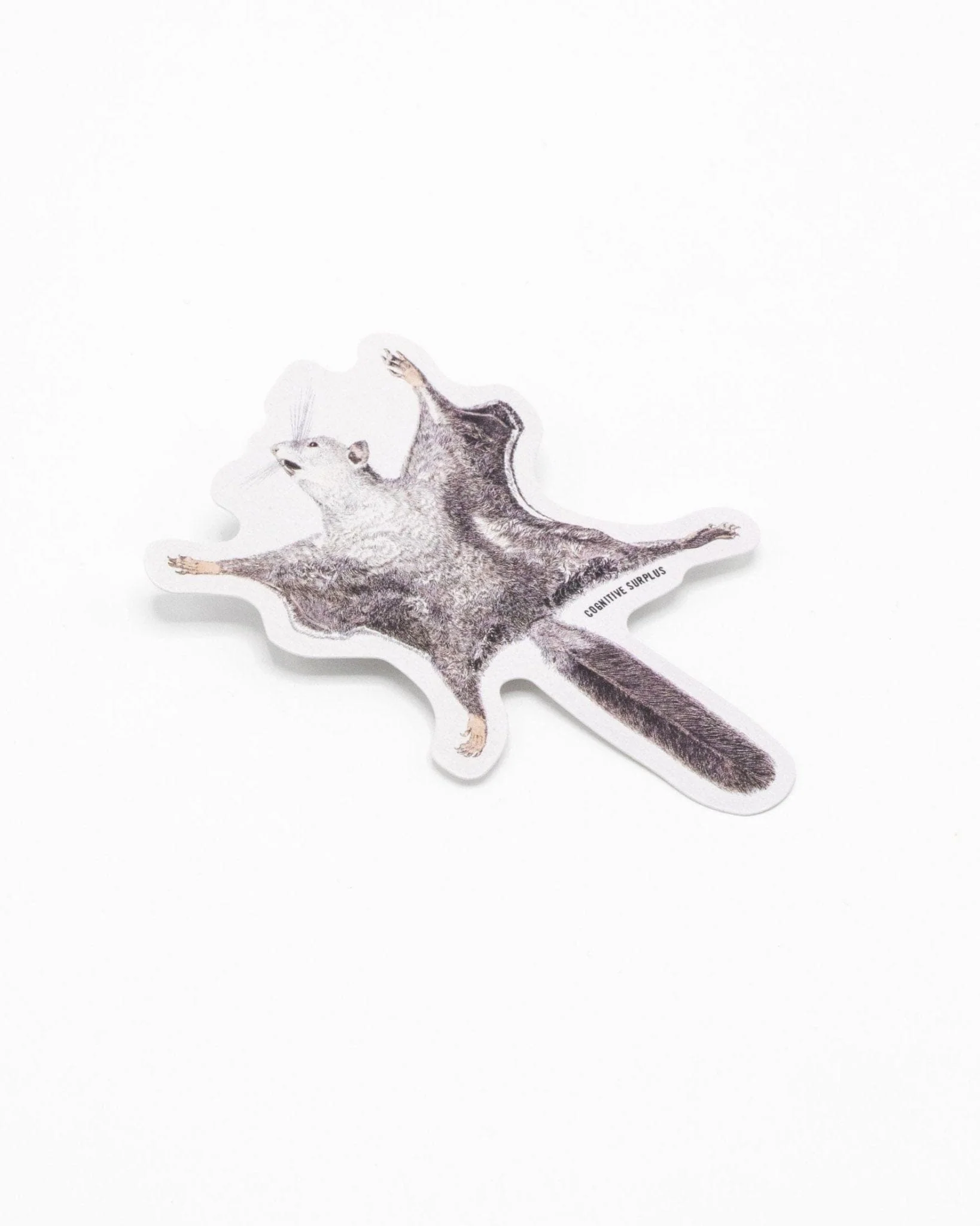 Flying Squirrel Sticker