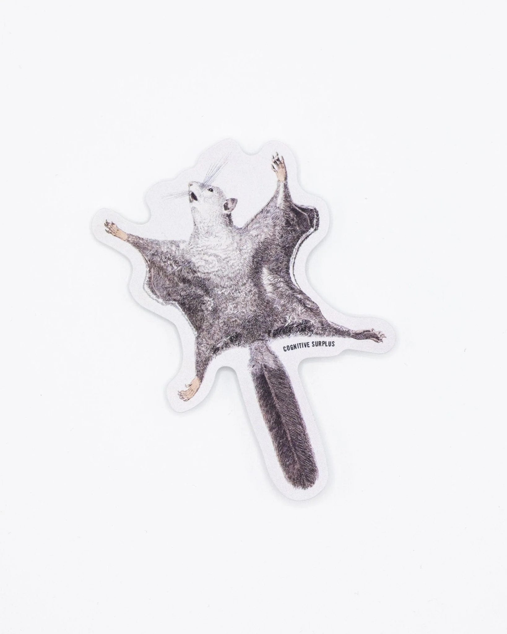 Flying Squirrel Sticker - Image 2