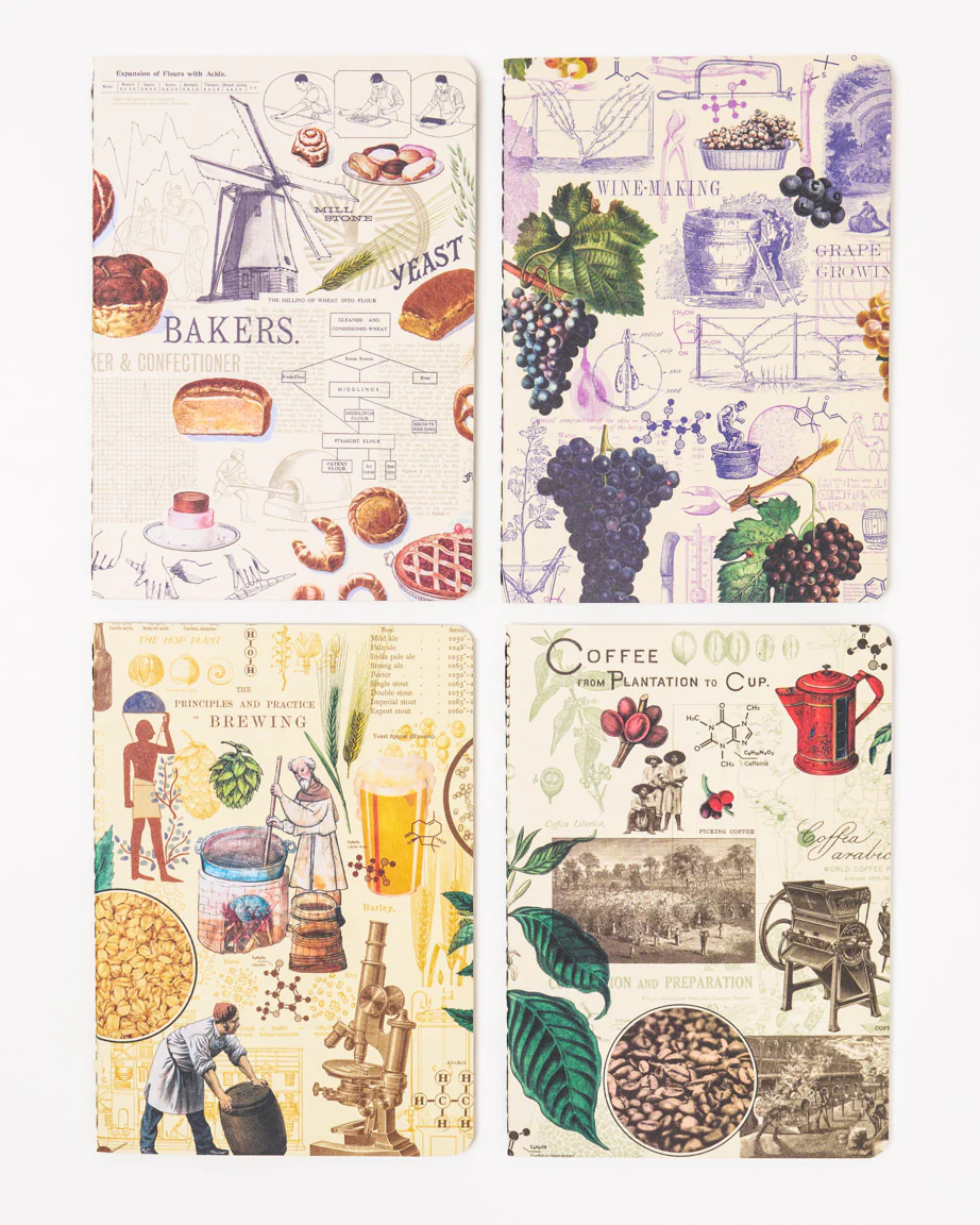 Food Science Pocket Notebook 4-pack - Image 3