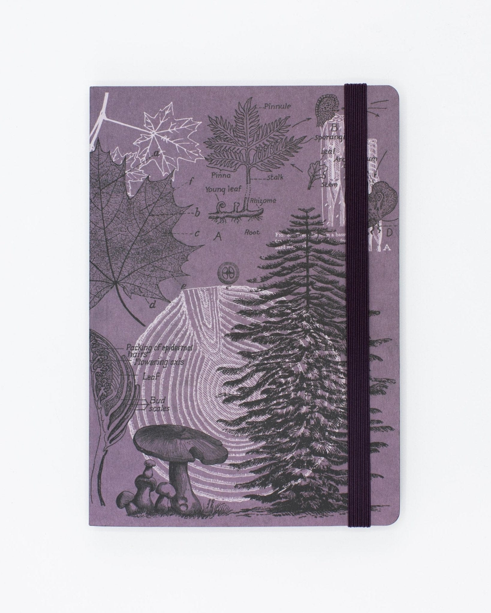 Forest at Dusk A5 Softcover Notebook