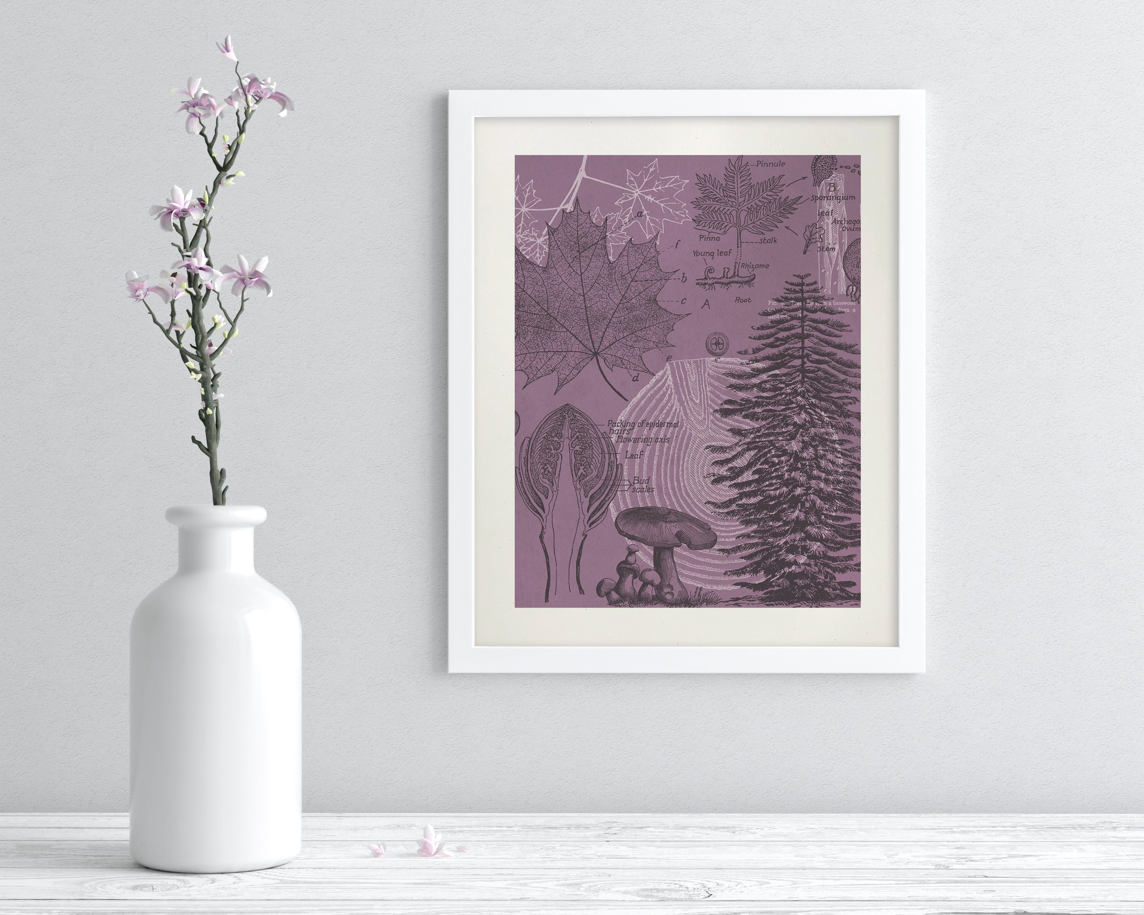 Forest at Dusk Scientific Illustration Museum Print - Image 3