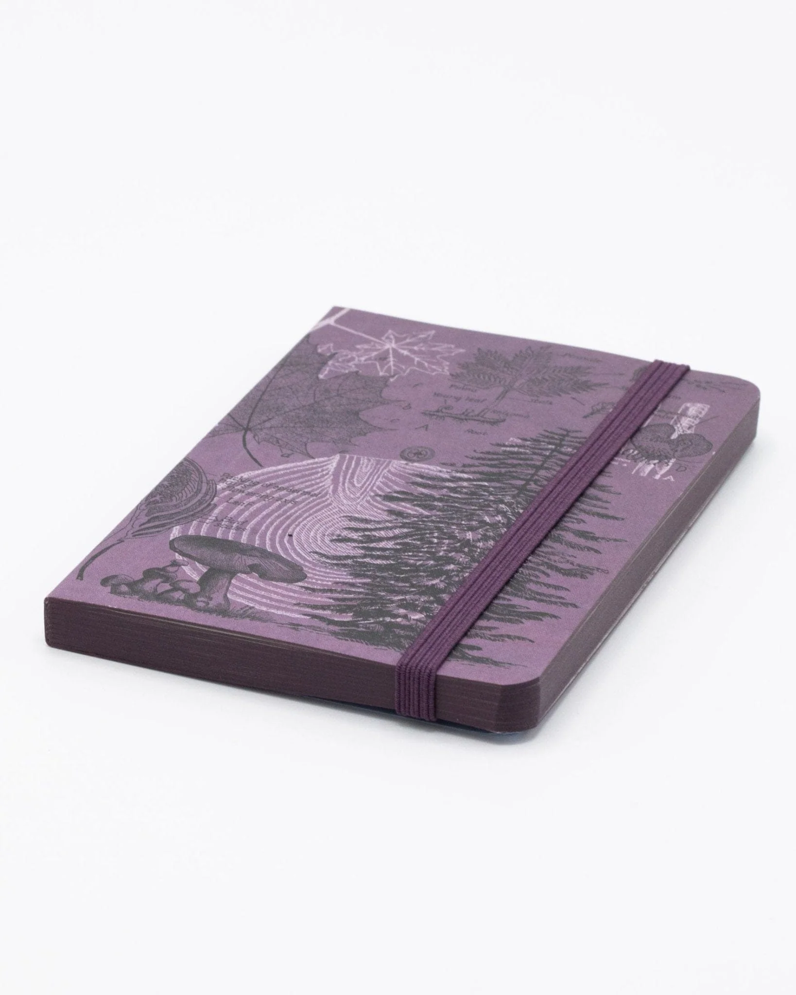 Forest at Dusk Observation Softcover - Image 2