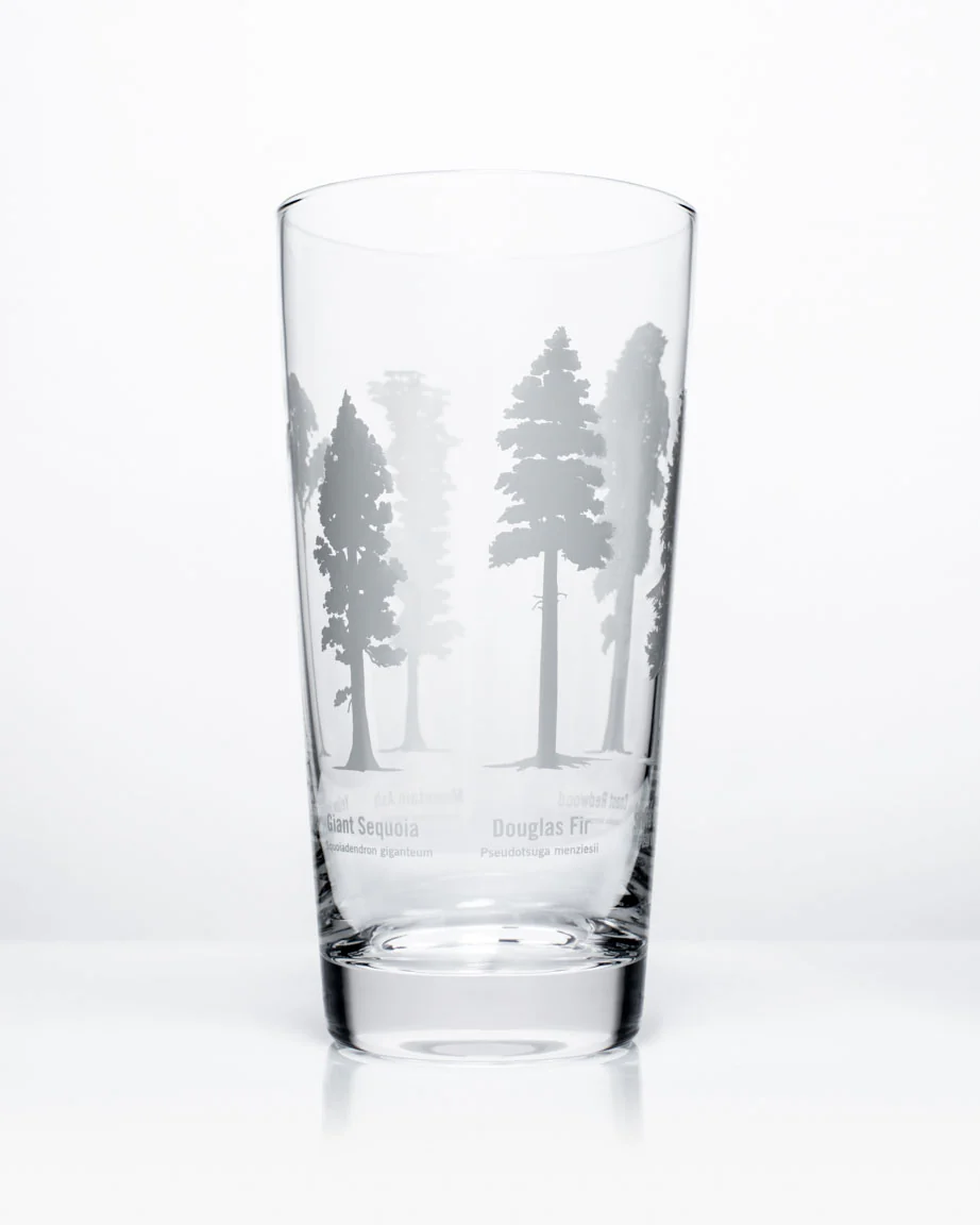 Forest Giants Beer Glass (12 oz) - Image 3