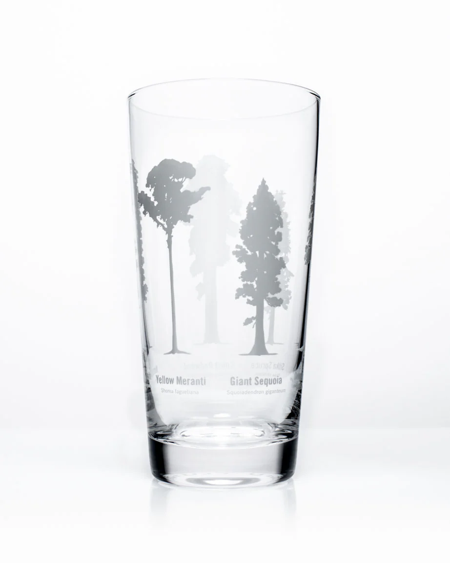 Forest Giants Beer Glass (12 oz) - Image 4