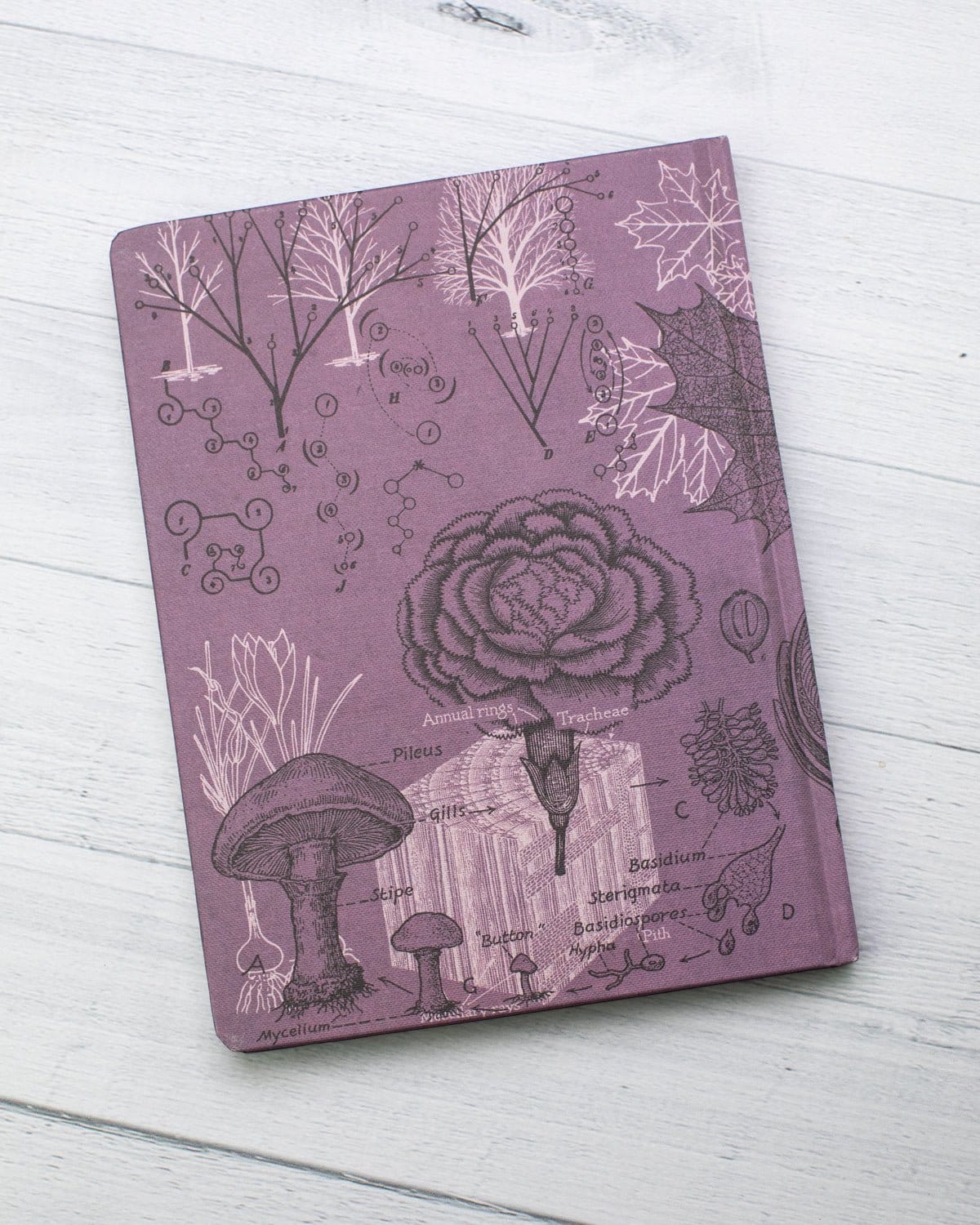 Forest at Dusk Hardcover Notebook - Dot Grid - Image 6
