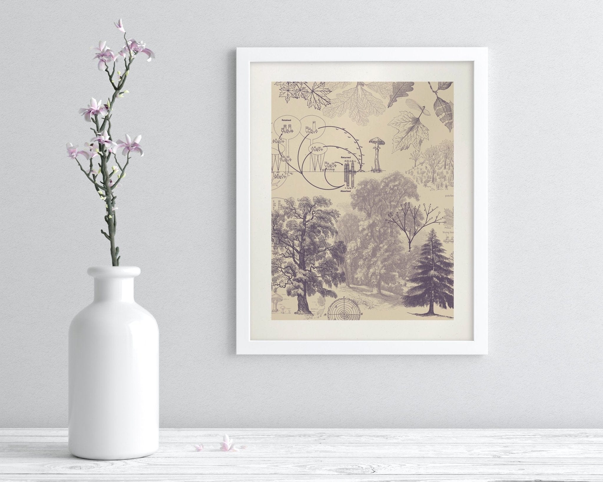 Forest Nutrients Scientific Illustration Museum Print - Image 3