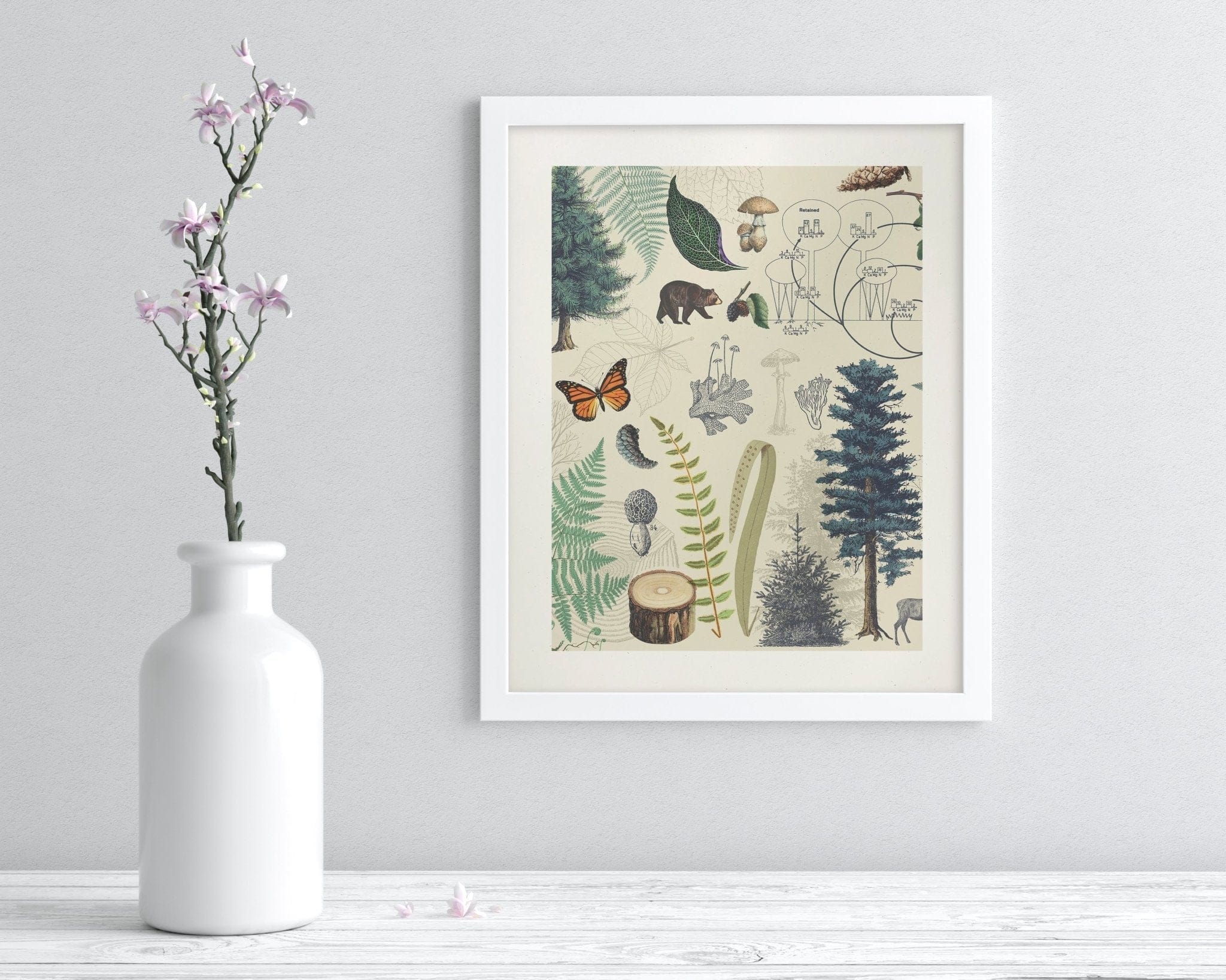 Woodland Forest 2 Scientific Illustration Museum Print - Image 3