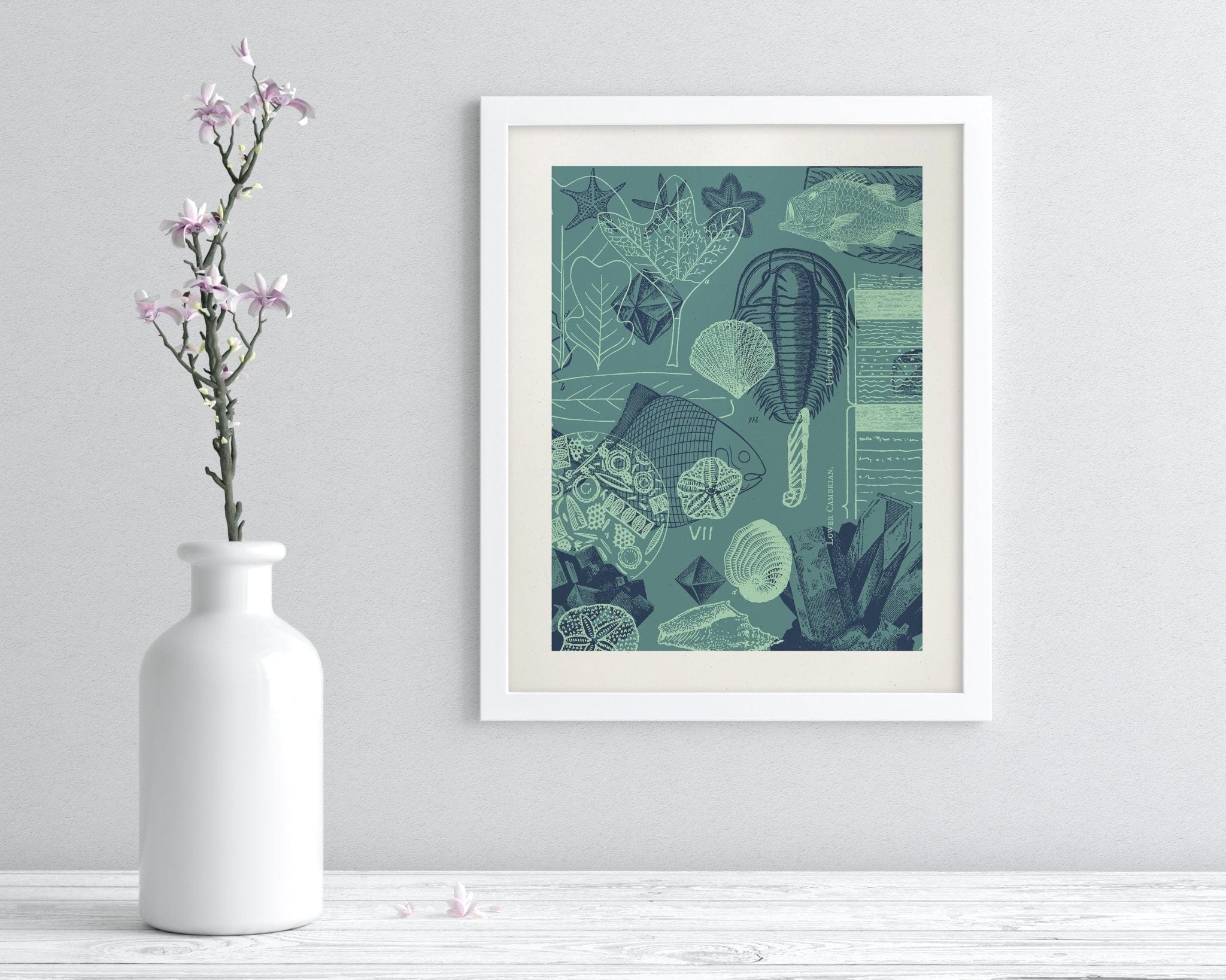 Fossils Scientific Illustration Museum Print - Image 3