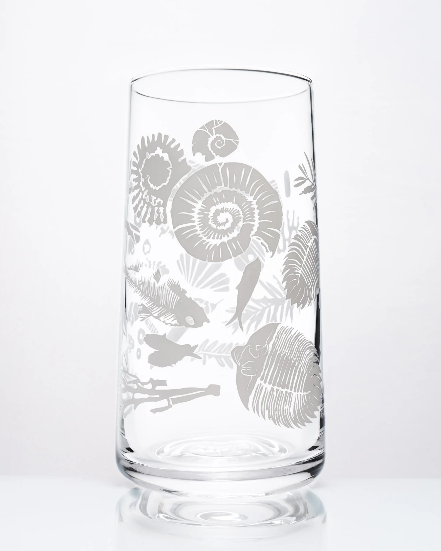 Fossils Drinking Glass - Image 3