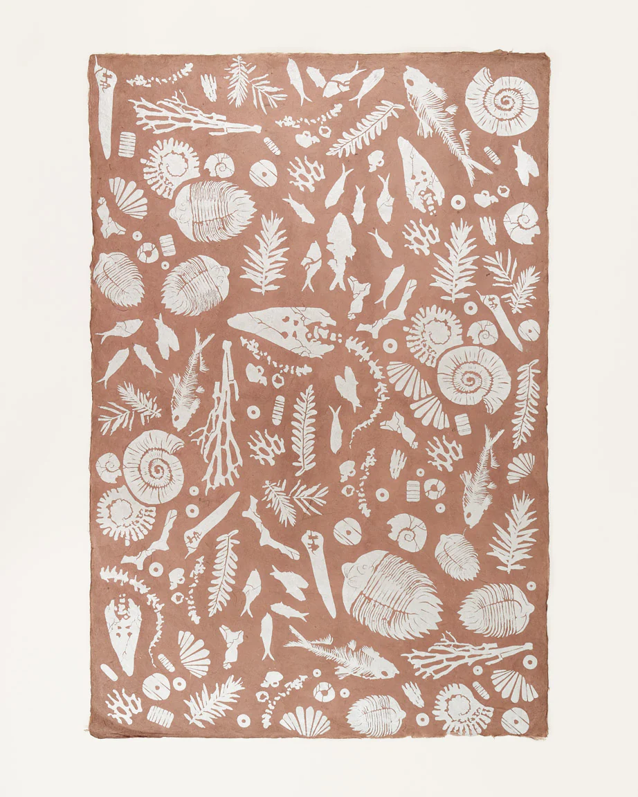 Fossils Wrapping Paper - Image 2