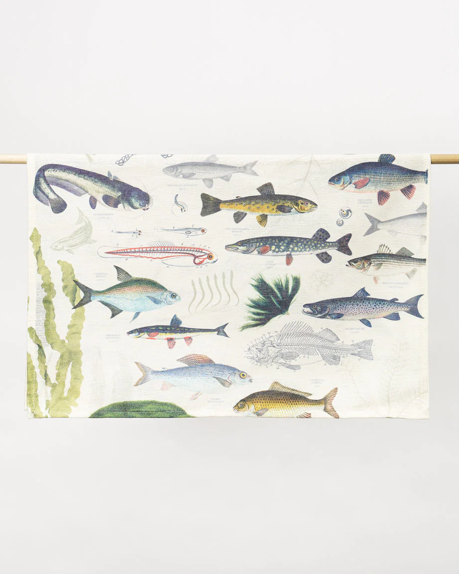 Freshwater Fish Tea Towel - Image 4