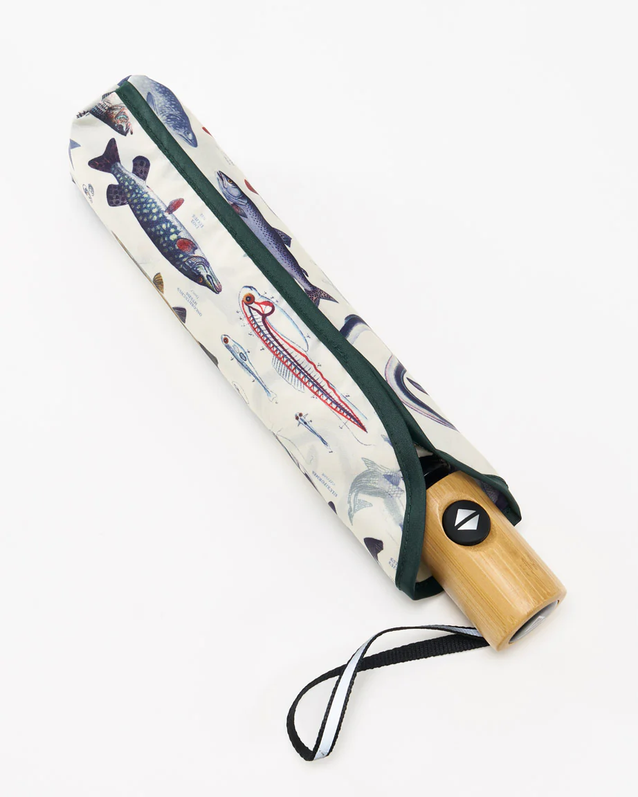 Freshwater Fish Umbrella - Image 3