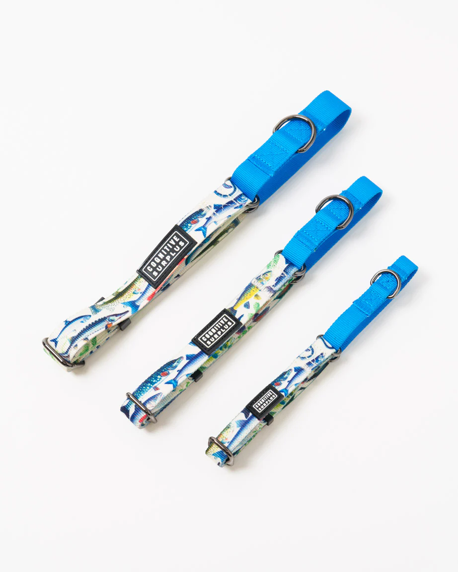 Freshwater Fish Eco Martingale Collar - Image 2