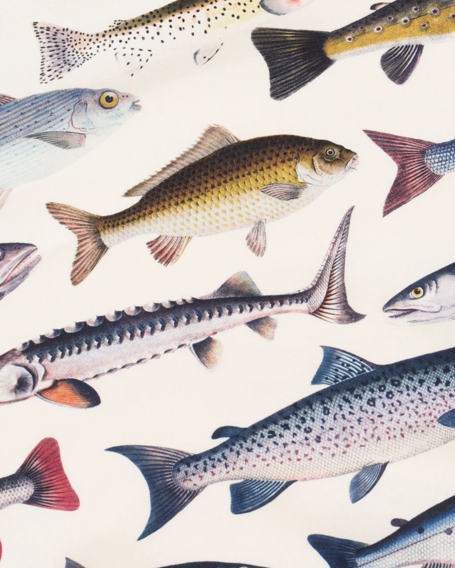 Freshwater Fish Eco Pet Bandana - Image 2