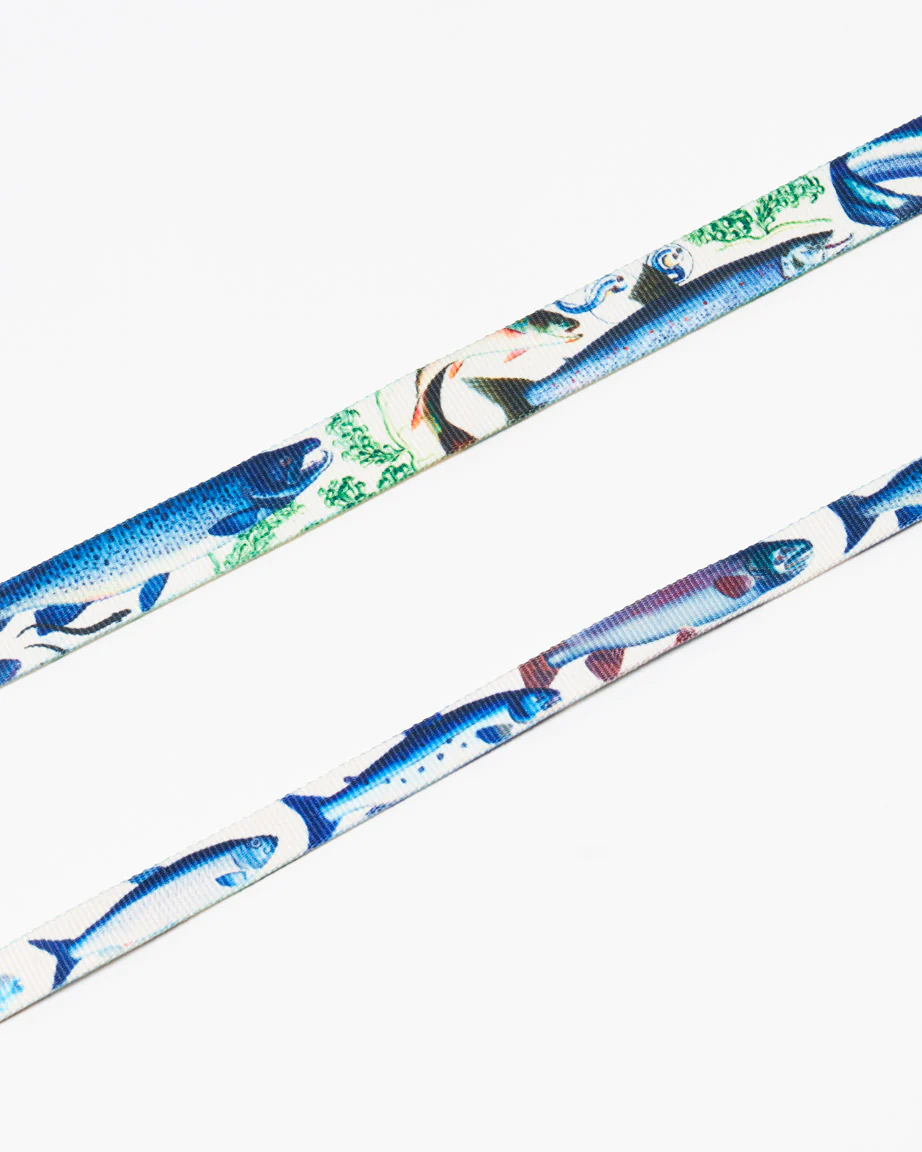 Freshwater Fish Eco Pet Leash - Image 3