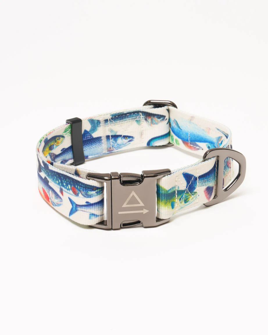 Freshwater Fish Eco Pet Collar