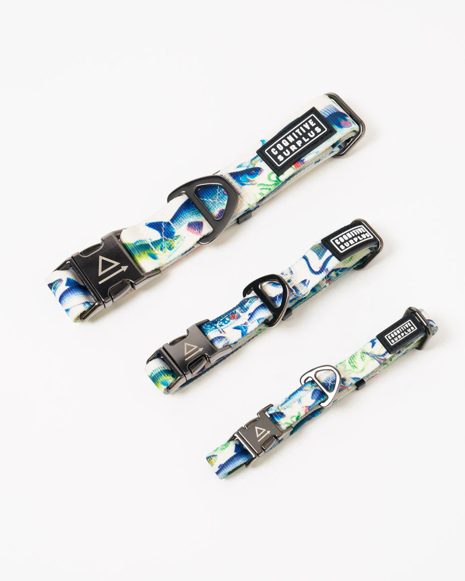 Freshwater Fish Eco Pet Collar - Image 2