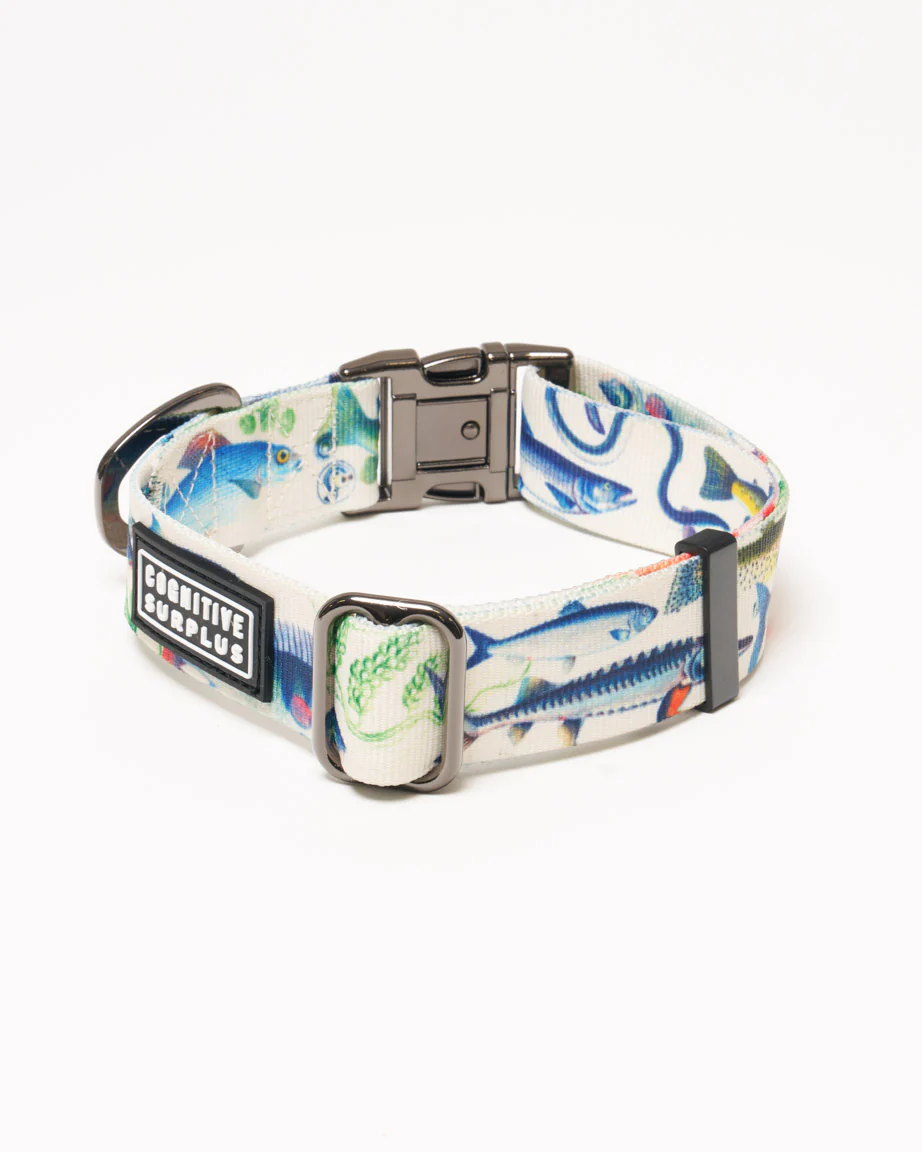 Freshwater Fish Eco Pet Collar - Image 3