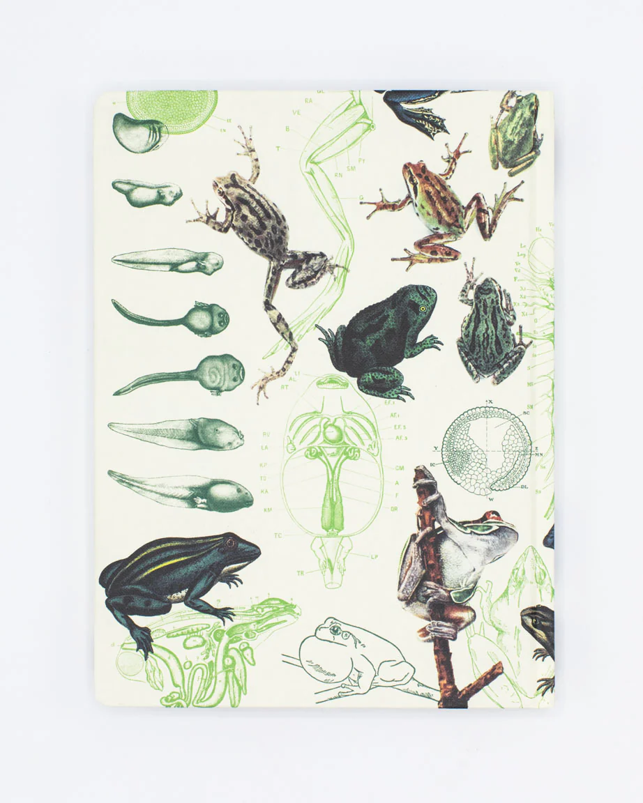 Frogs & Toads Hardcover Notebook - Dot Grid - Image 2