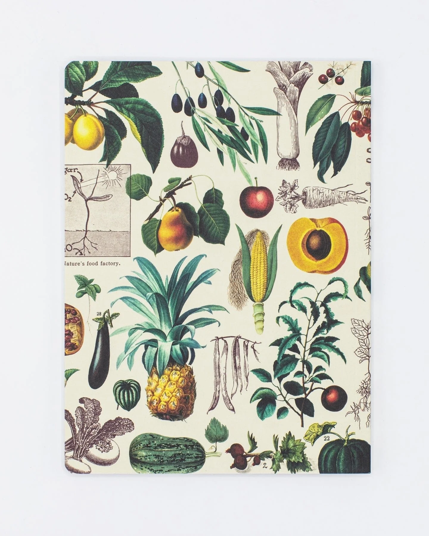 Fruits & Vegetables Softcover Notebook - Dot Grid - Image 2