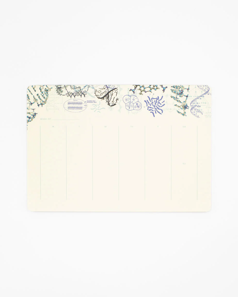 Genetics & DNA Notepads - Image 2