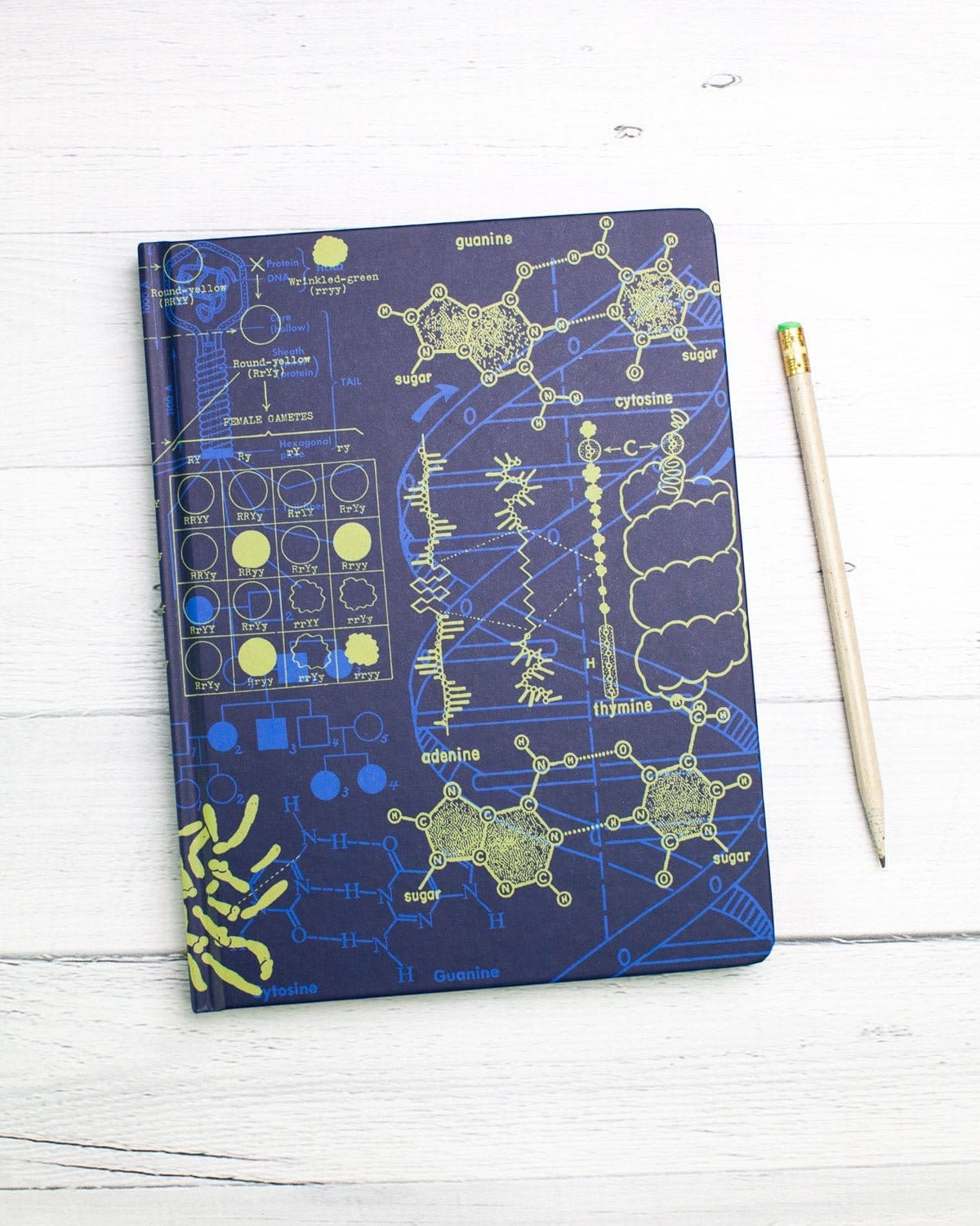 Genetics Hardcover Notebook - Dot Grid - Image 3