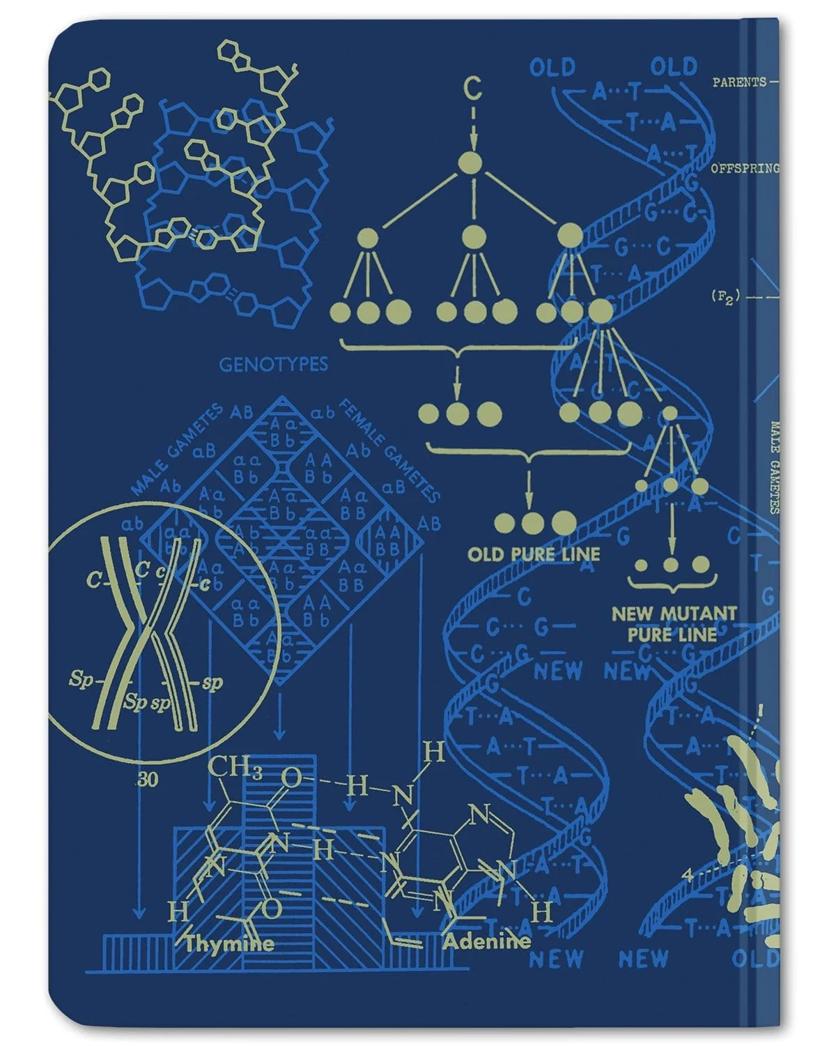 Genetics Hardcover Notebook - Dot Grid - Image 4