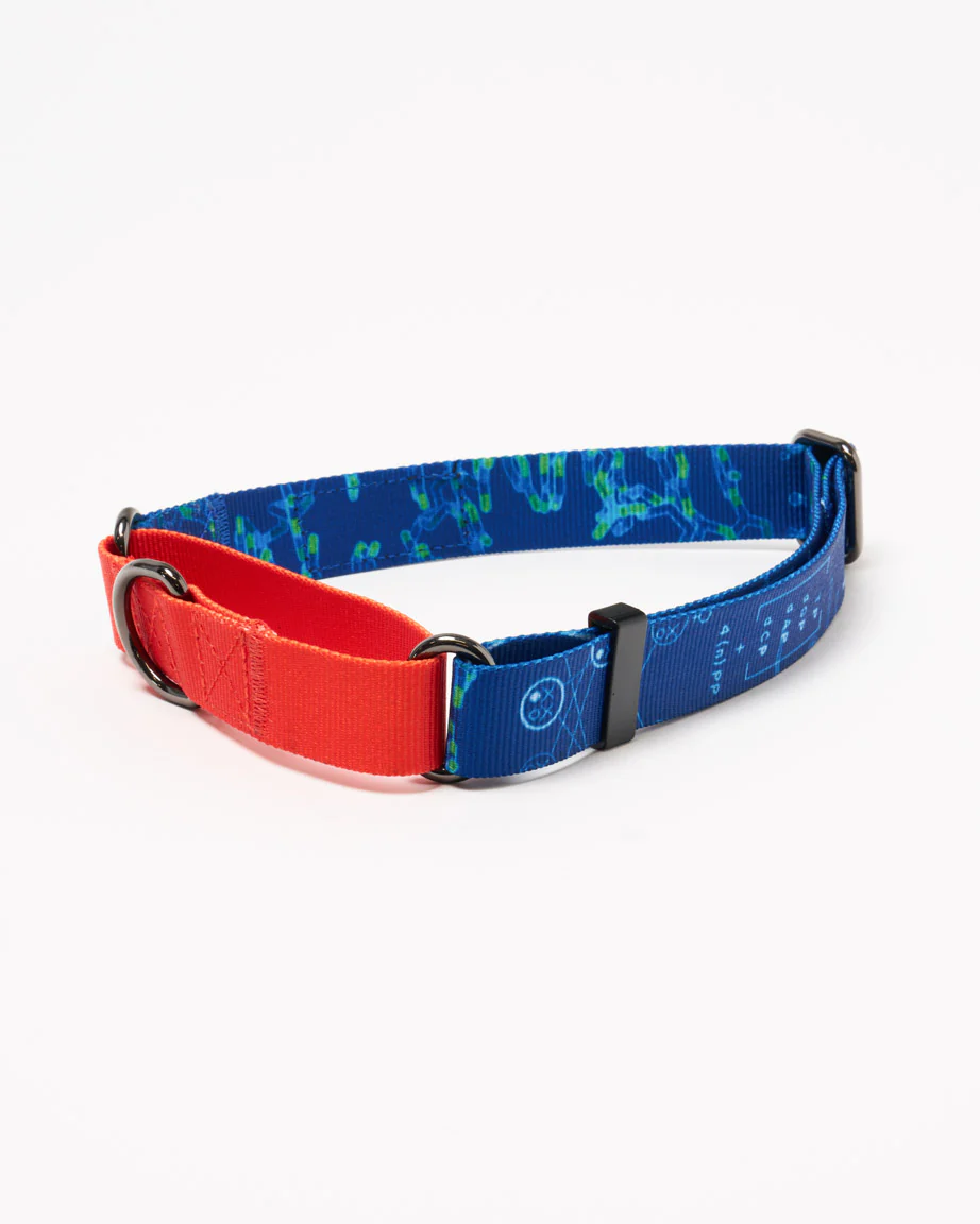 Genetics & DNA Eco Martingale Collar - Image 3