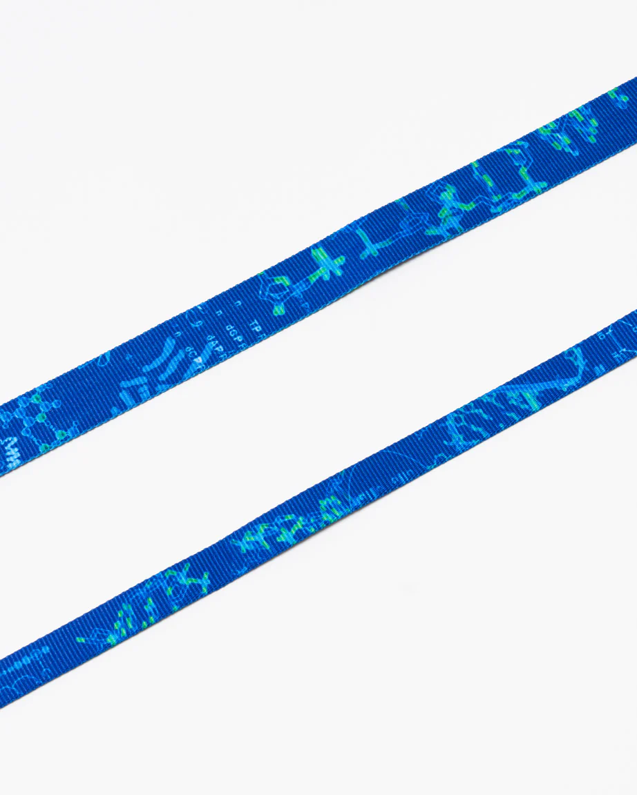 Genetics & DNA Eco Pet Leash - Image 3