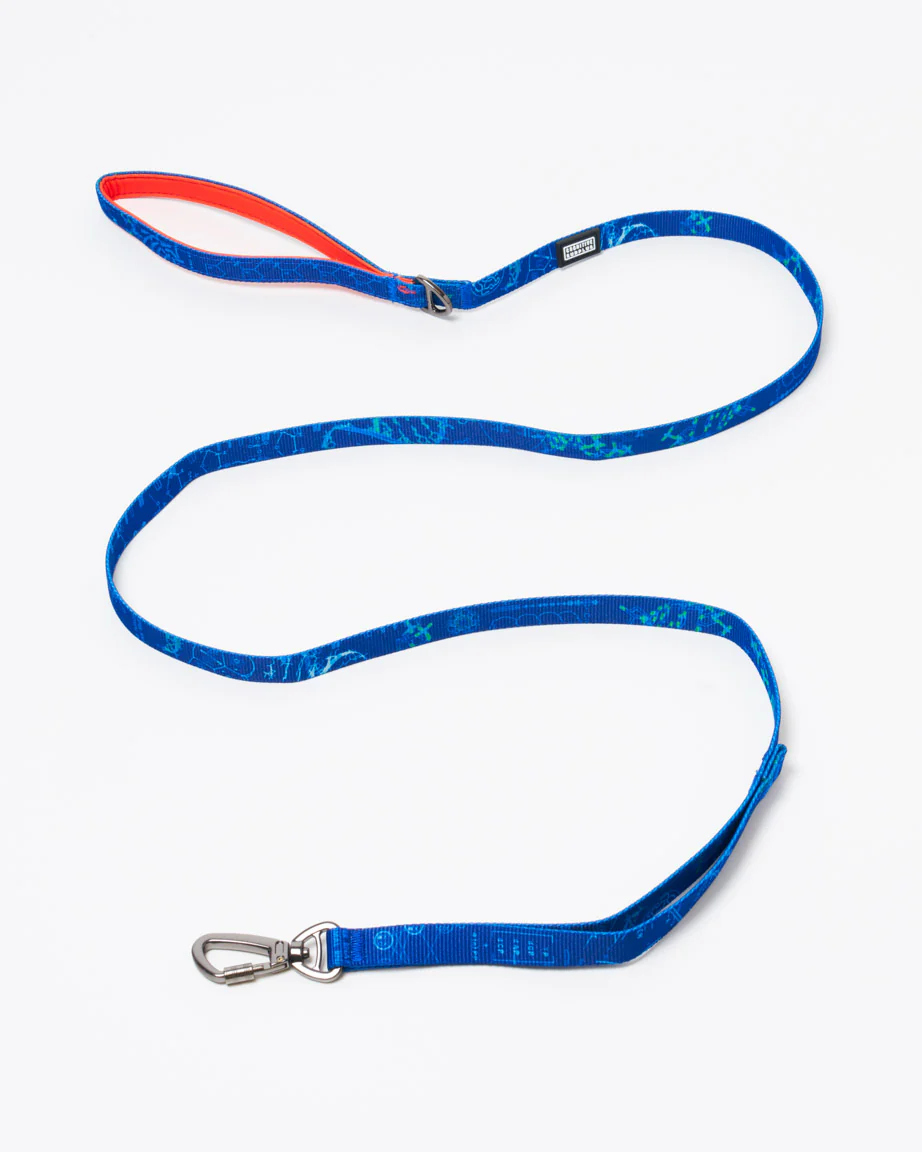 Genetics & DNA Eco Pet Leash - Image 4