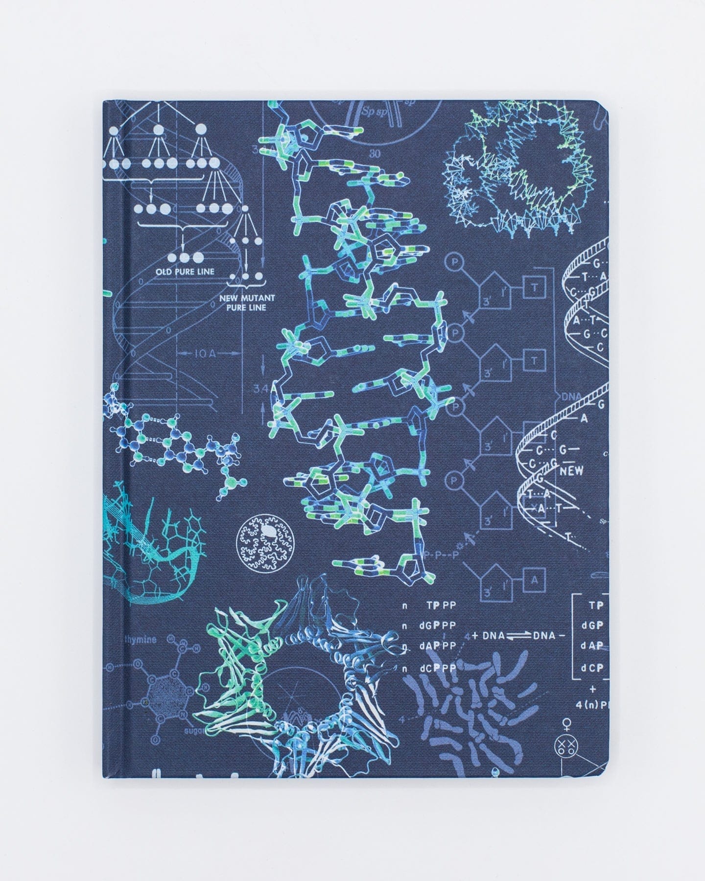 Genetics & DNA Hardcover Notebook - Lined/Grid
