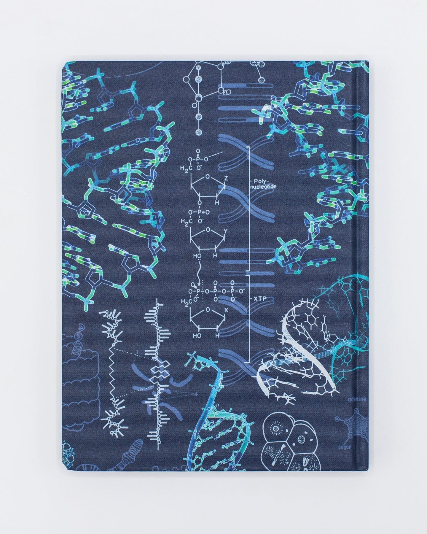 Genetics & DNA Hardcover Notebook - Lined/Grid - Image 2