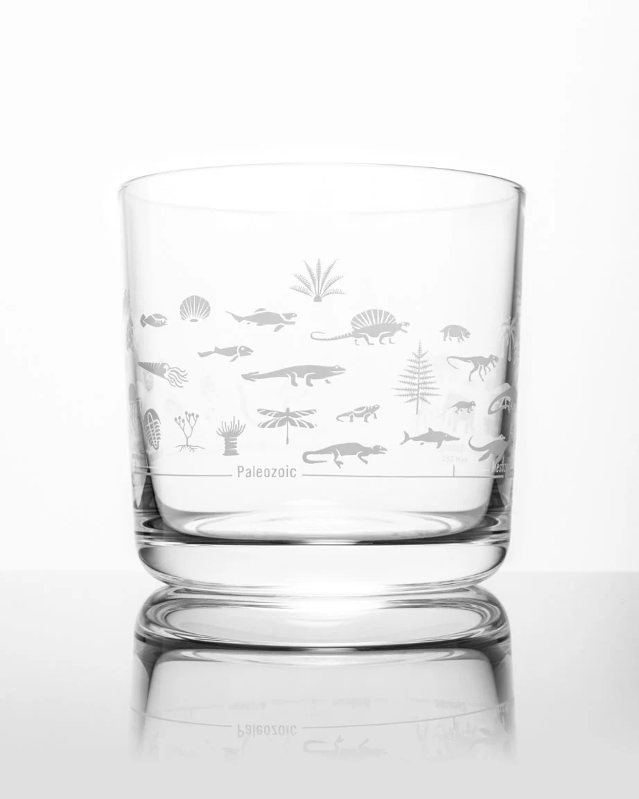 Geologic Time Scale Whiskey Glass - Image 3