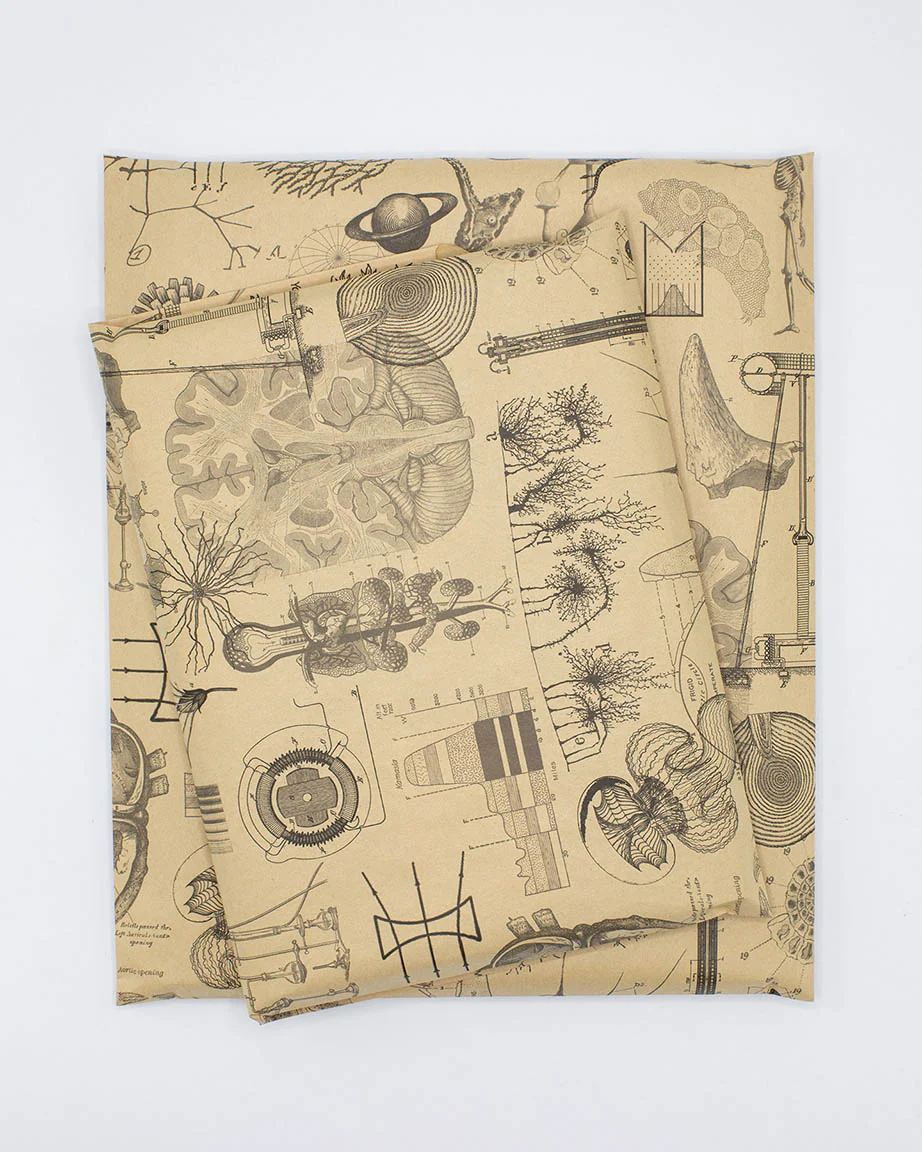 Gift Wrap - Image 2