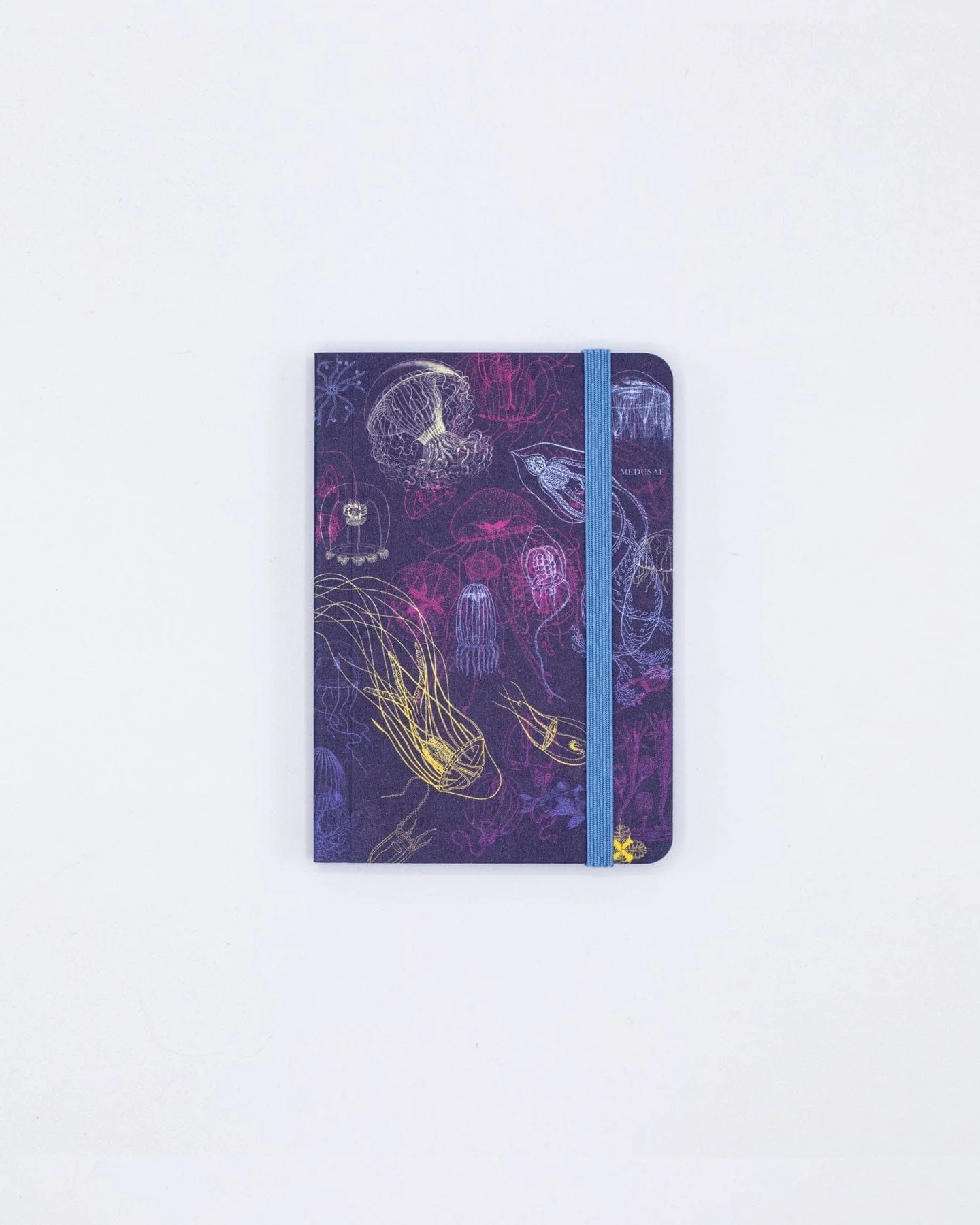Go With the Flow Jellyfish Observation Softcover - Image 4