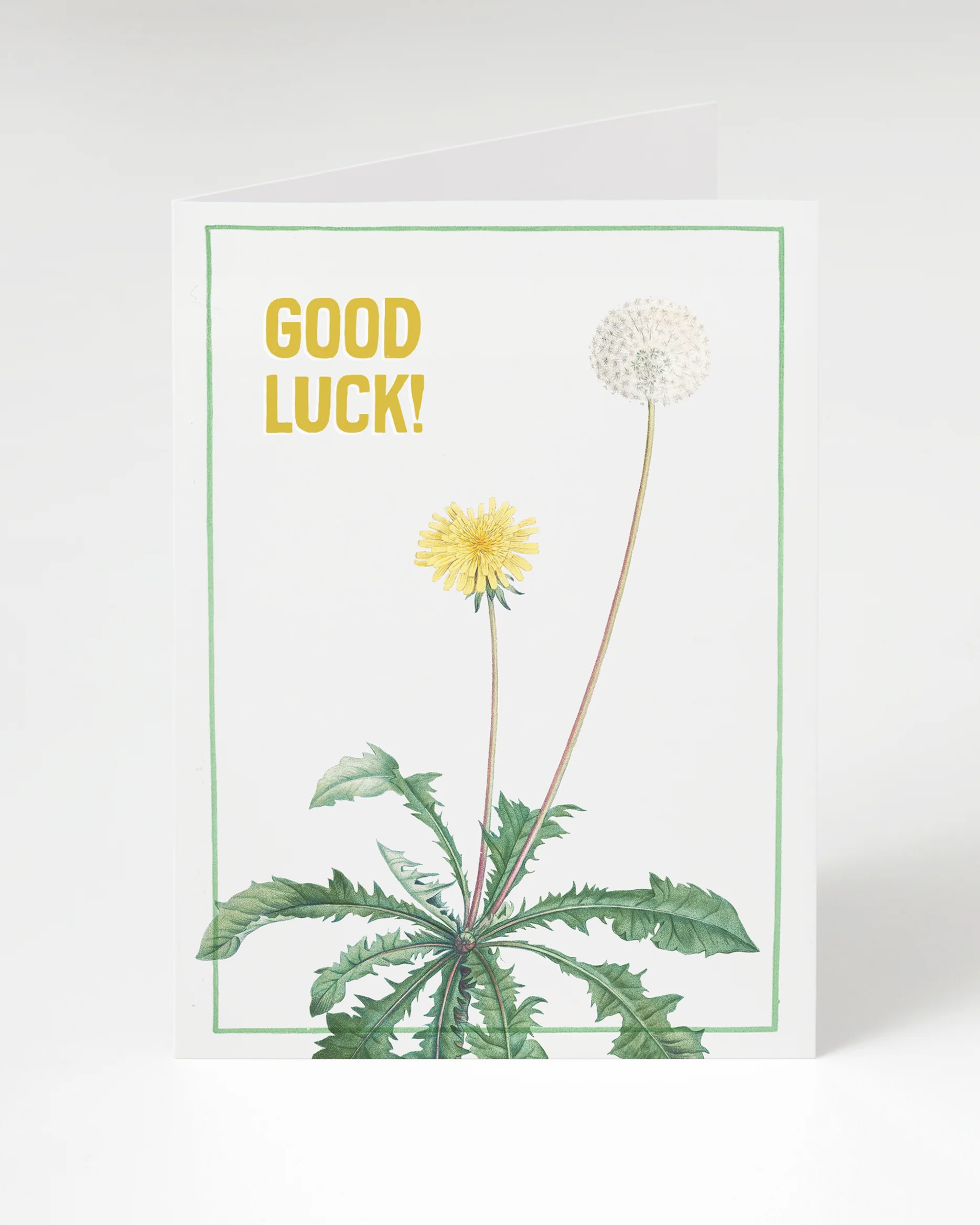 Good Luck! Dandelion Card