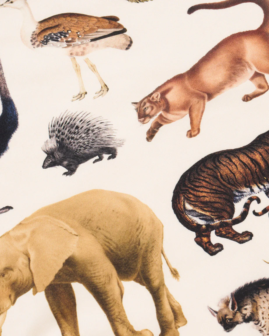 Grassland Zoology Eco Pet Bandana - Image 2