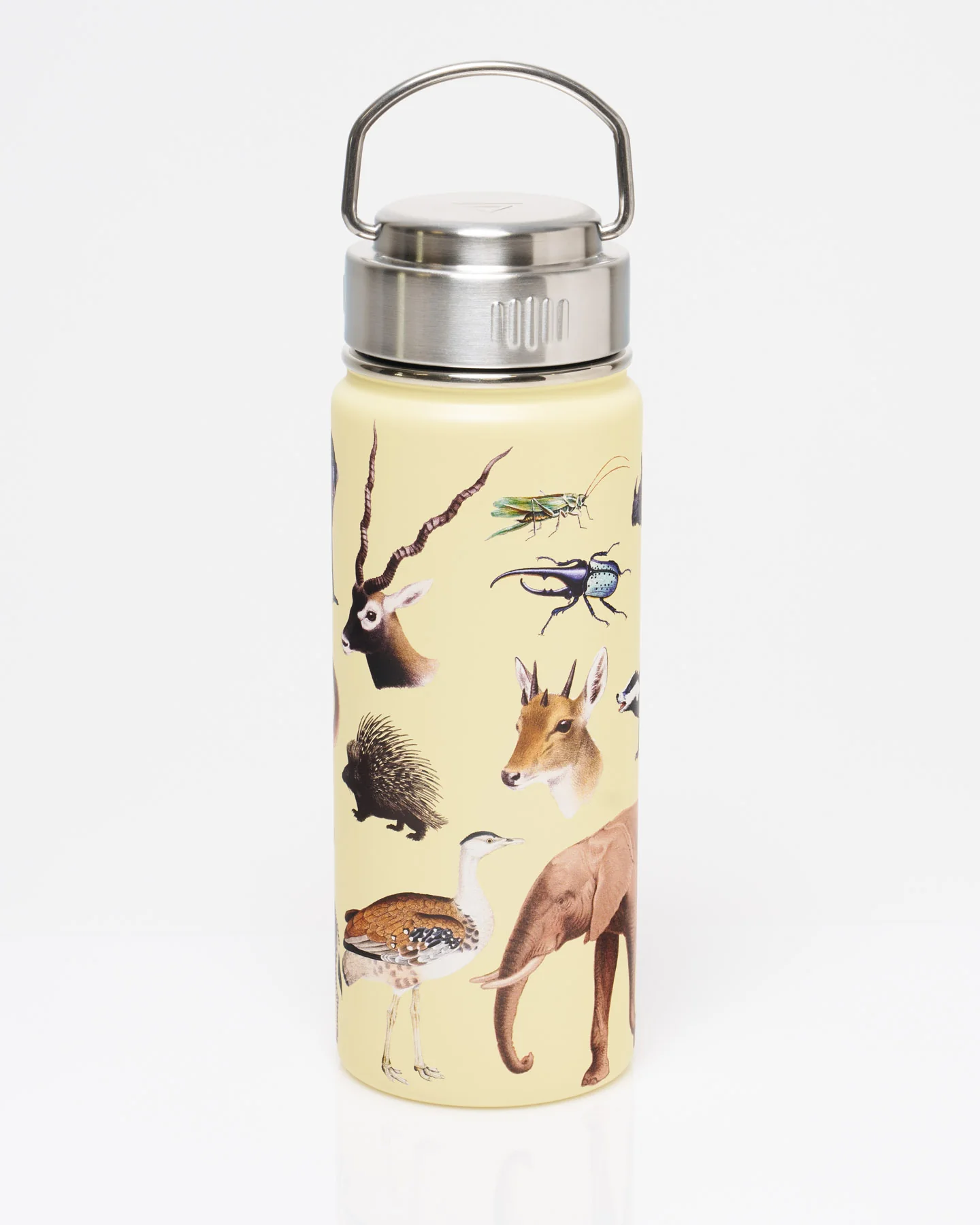 Grassland Zoology 18 oz Steel Bottle - Image 2