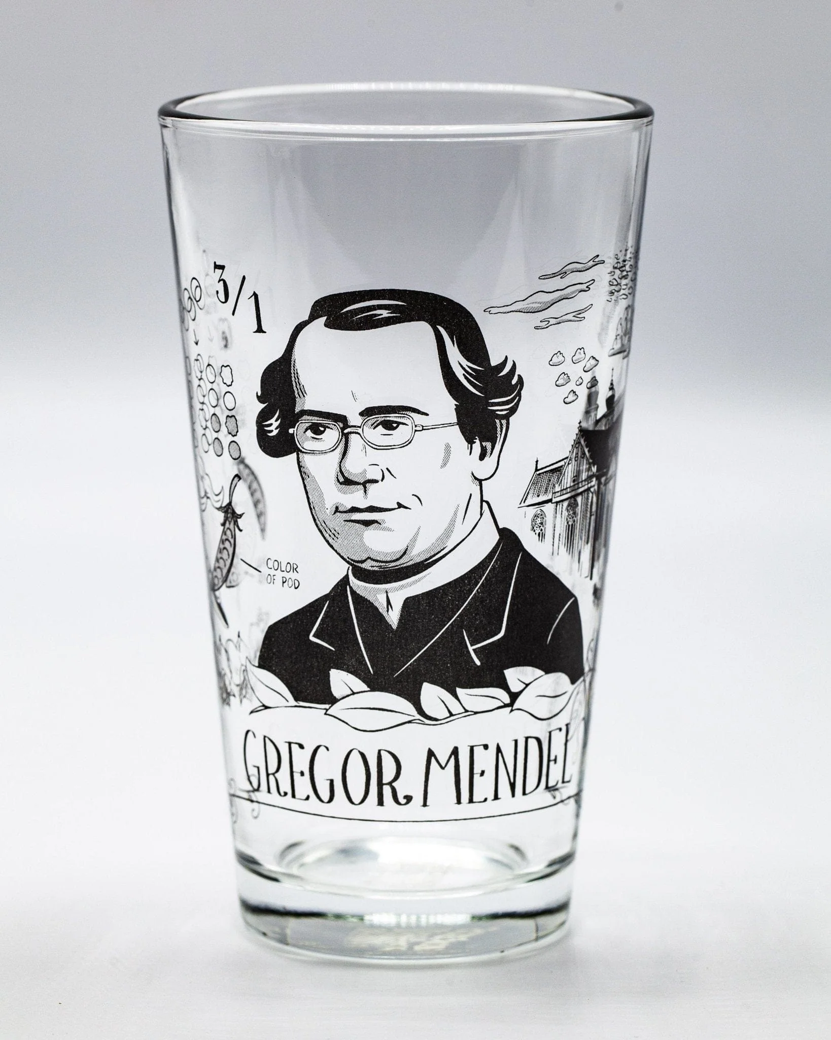 Gregor Mendel Pint Glass - Image 4
