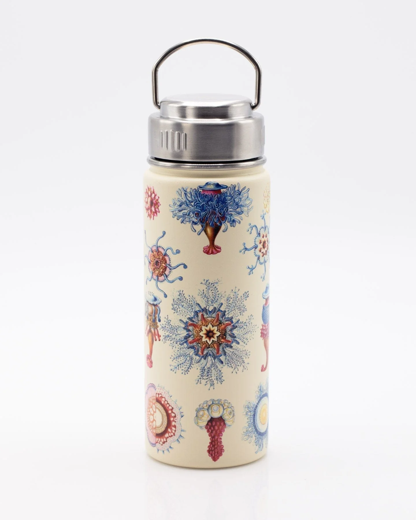 Haeckel Jellyfish 18 oz Steel Bottle - Image 2