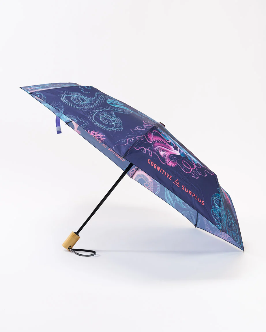 Haeckel Jellyfish Umbrella - Image 2
