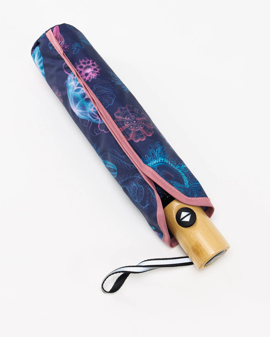 Haeckel Jellyfish Umbrella - Image 3