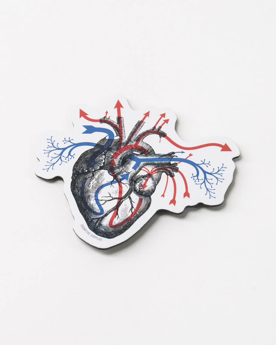 Heart Blood Flow Magnet