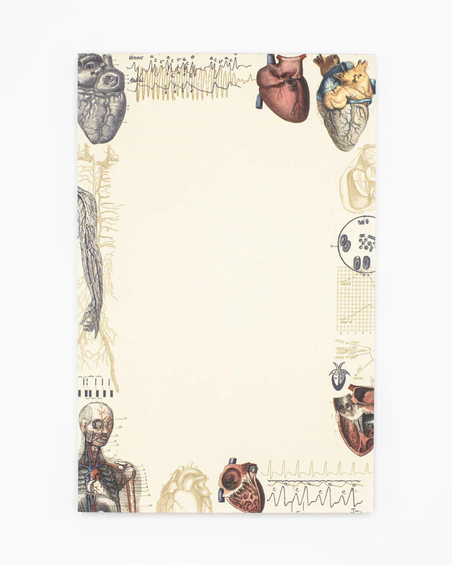 Heart Notepads - Image 6