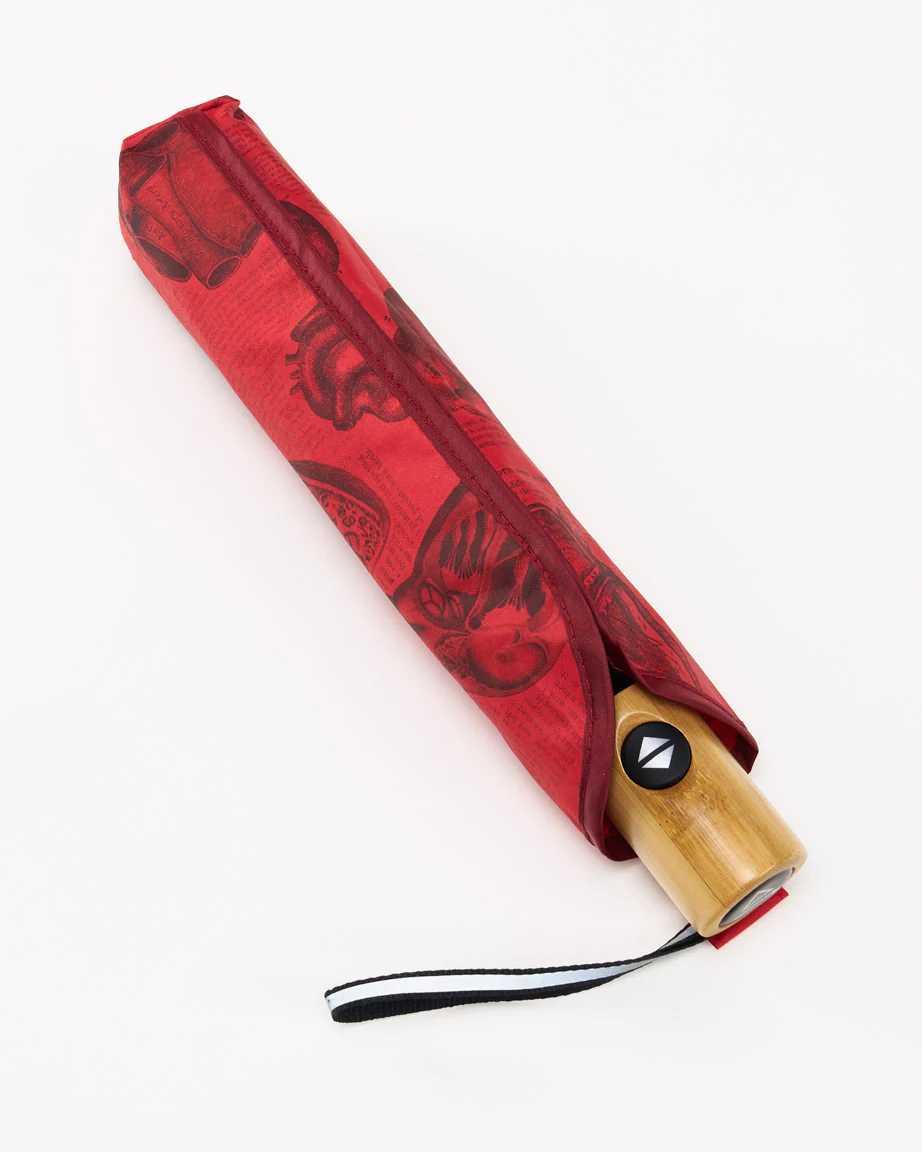 Anatomical Heart Umbrella - Image 3